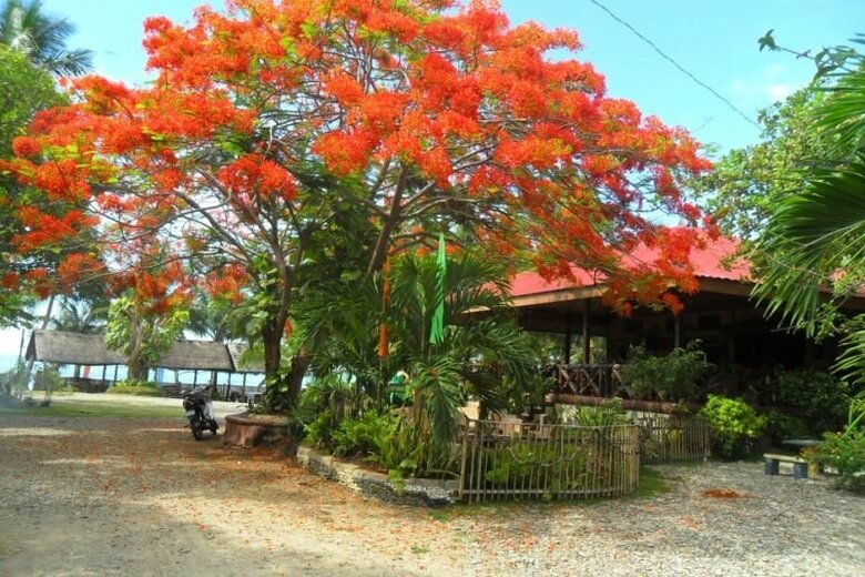 Hotel Nitivos Beach Resort