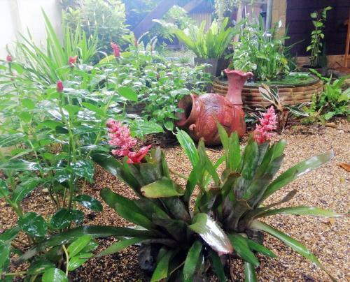 Hotel Homestay Chiangrai