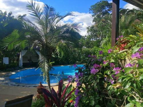 Hotel Homestay Chiangrai