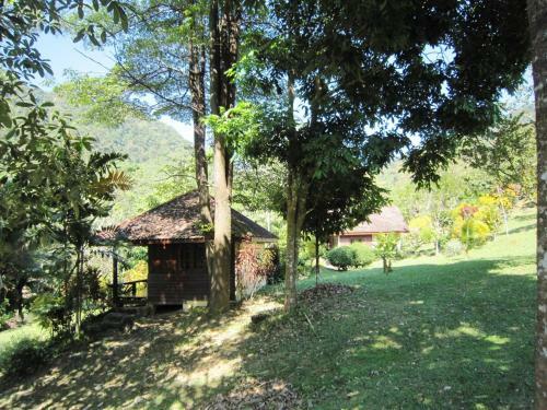 Hotel Phanom Bencha Mountain Resort