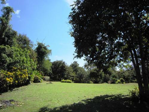 Hotel Phanom Bencha Mountain Resort