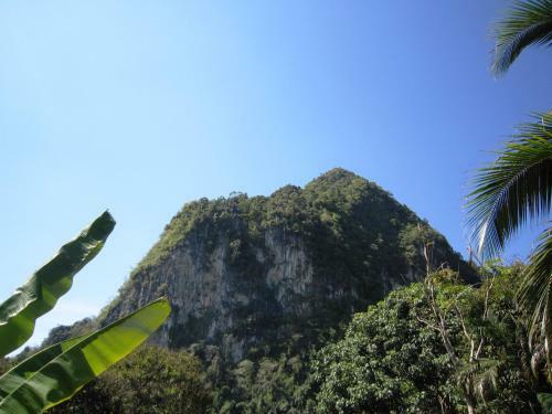 Hotel Phanom Bencha Mountain Resort