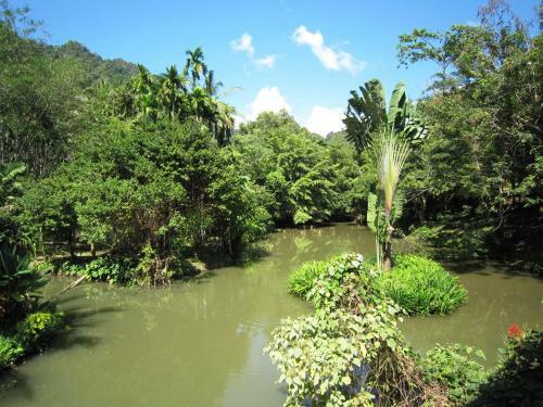 Hotel Phanom Bencha Mountain Resort