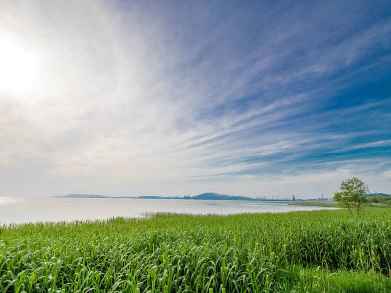 Hotel Novotel Suzhou Tai Lake