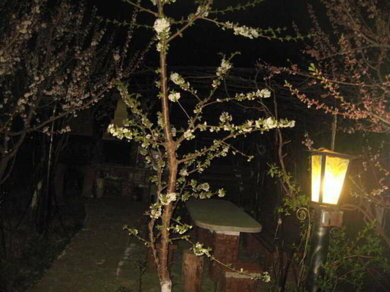 Hotel Leaganul Bucovinei Guest House