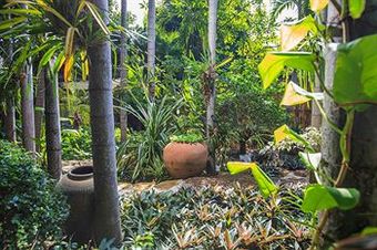 Hotel Oasis Hakuna Matata