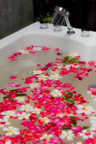 Hotel Synergy Samui Resort
