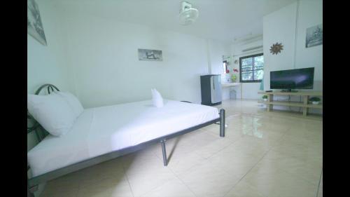 Hostal Tams Guesthouse
