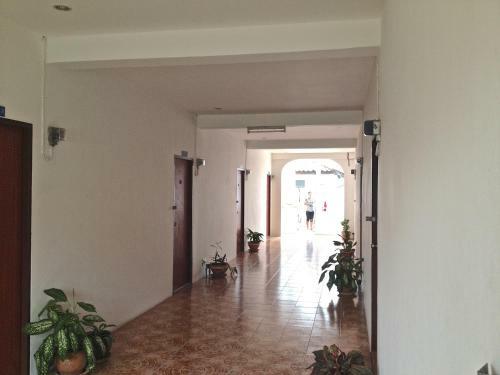 Hostal Tams Guesthouse
