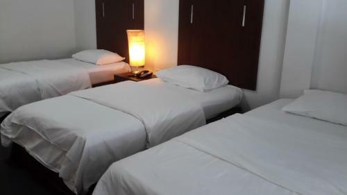 Hotel The Pavilion Place