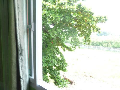 Hostal Apartment Khun Noy