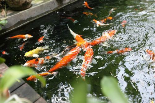 Serene Bangkok Bed And Breakfast
