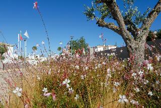 Hotel Quinta Do Algarvio