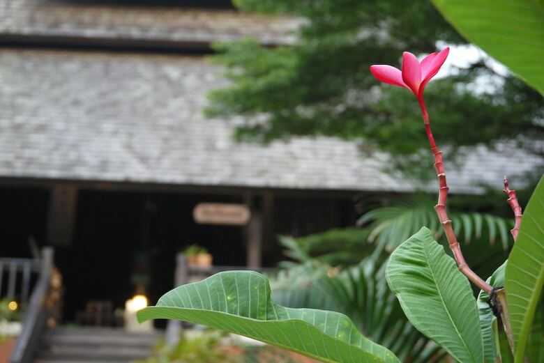 Rainforest Boutique Hotel