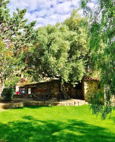 Hotel H�tel Casa Rossa