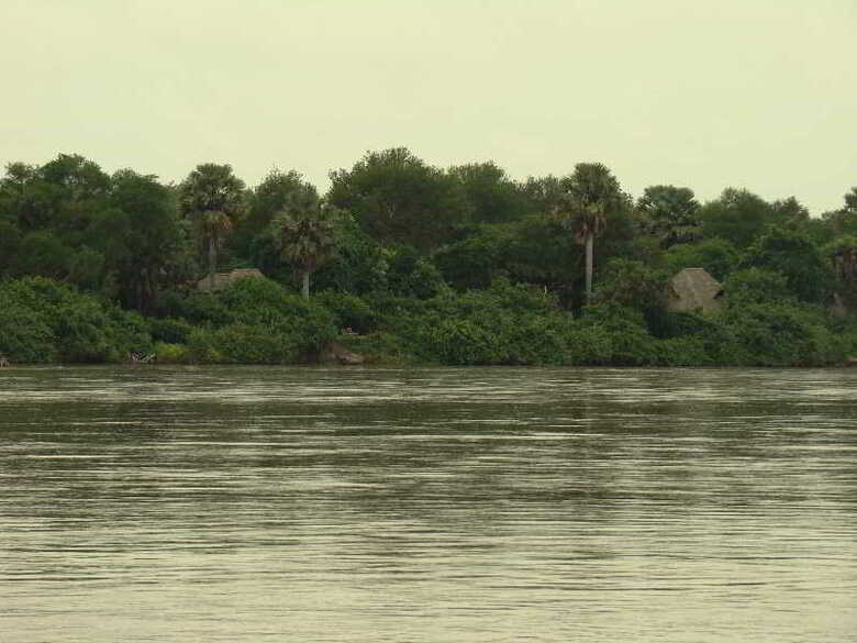 Hotel Selous Wilderness Camp