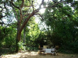 Hotel Selous Wilderness Camp