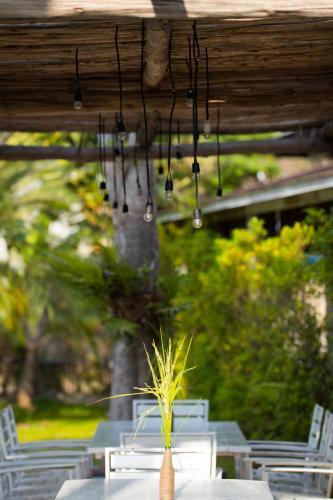 Dolphin Hotel Phuket