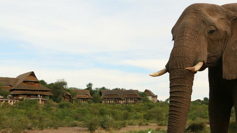 Hotel Victoria Falls Safari Suites