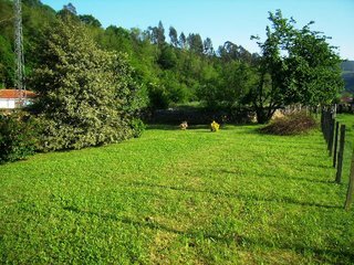 Casa Cabu�rniga - Three Bedroom