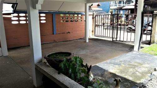 Hostal The Guest House