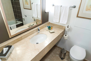 Hotel Hilton London Gatwick Airport