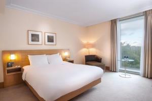Hotel Hilton London Gatwick Airport