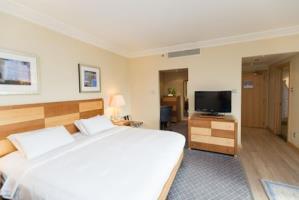 Hotel Hilton London Gatwick Airport