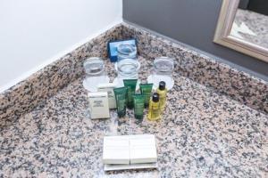 Hotel Hilton London Gatwick Airport