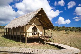 Hotel Gorah Elephant Camp