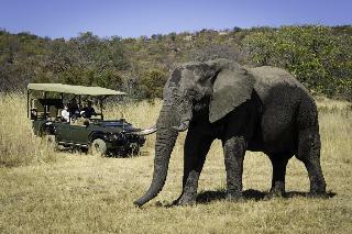 Hotel Tshwene Lodge