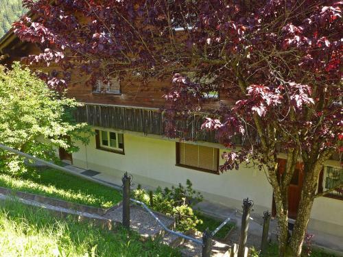 Apartment Casa Almis Grindelwald