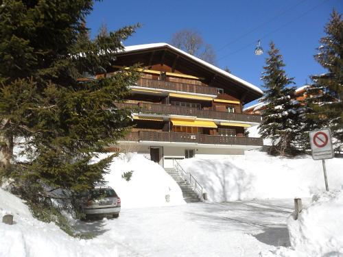 Apartment Sunny Corner Grindelwald
