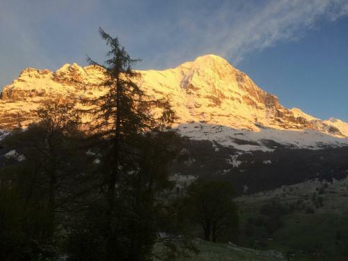 Apartamentos Chalet B�rgb�chli