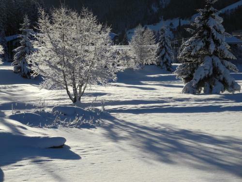 Bed & Breakfast Shima-davos