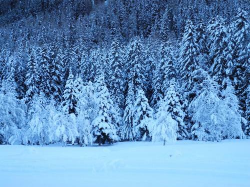 Bed & Breakfast Shima-davos