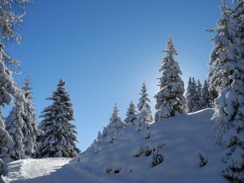 Bed & Breakfast Shima-davos
