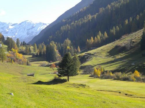 Bed & Breakfast Shima-davos