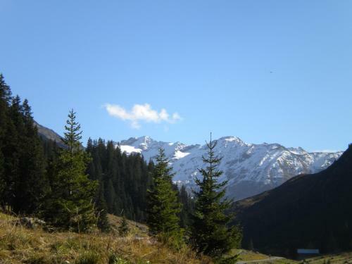 Bed & Breakfast Shima-davos