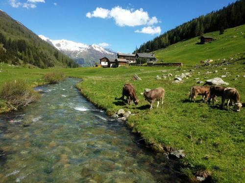 Bed & Breakfast Shima-davos