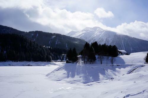 Bed & Breakfast Shima-davos