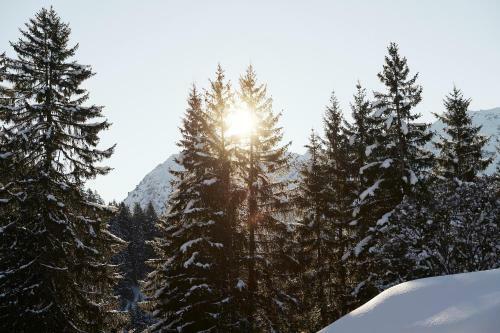 Posada Berghaus Alpenr�sli