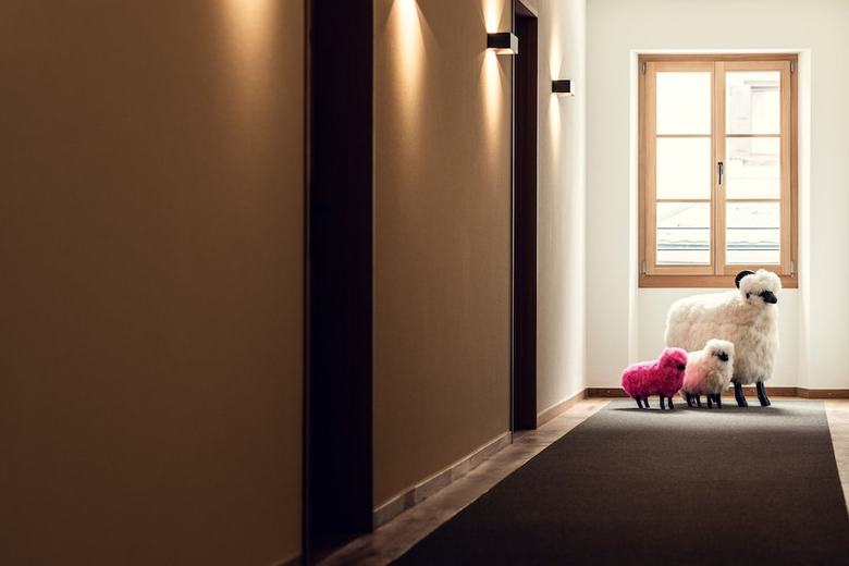 Hotel Conrad's Mountain Lodge