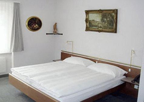 Hotel Sternen K�niz