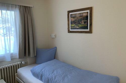 Apartamentos Chalet Soldanella