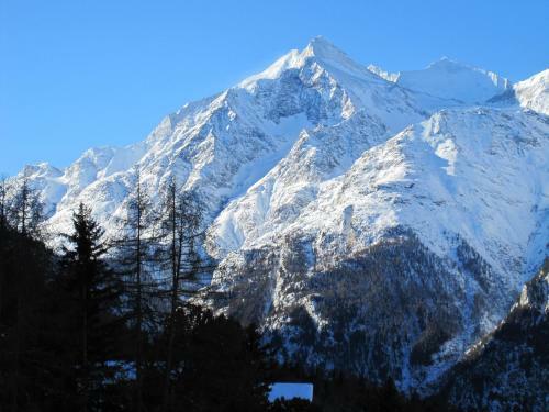 Apartamentos Waldheim