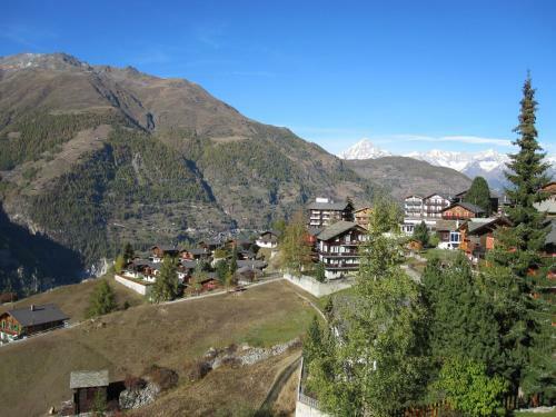 Apartamentos Waldheim