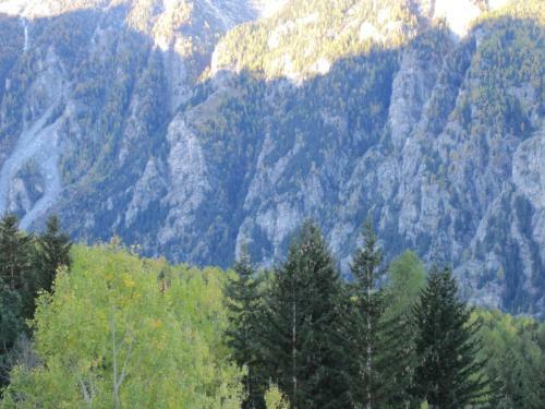 Apartamentos Waldheim