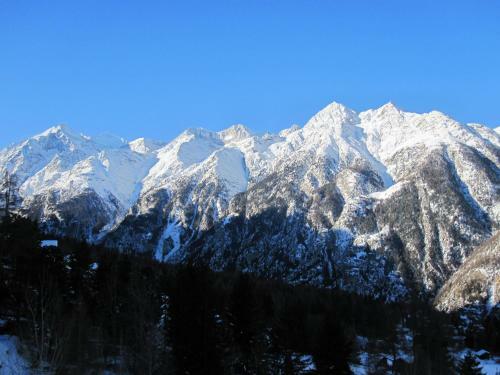 Apartamentos Waldheim