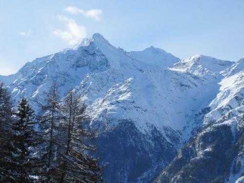 Apartamentos Waldheim